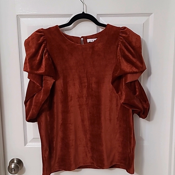 THML, XL, Capped puff sleeve, velvet like material, Rust/brown - Picture 1 of 3